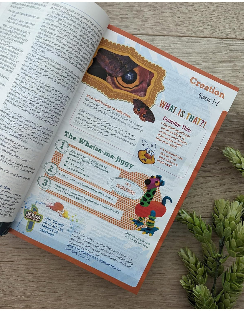 NLT Hands-On Bible for Kids