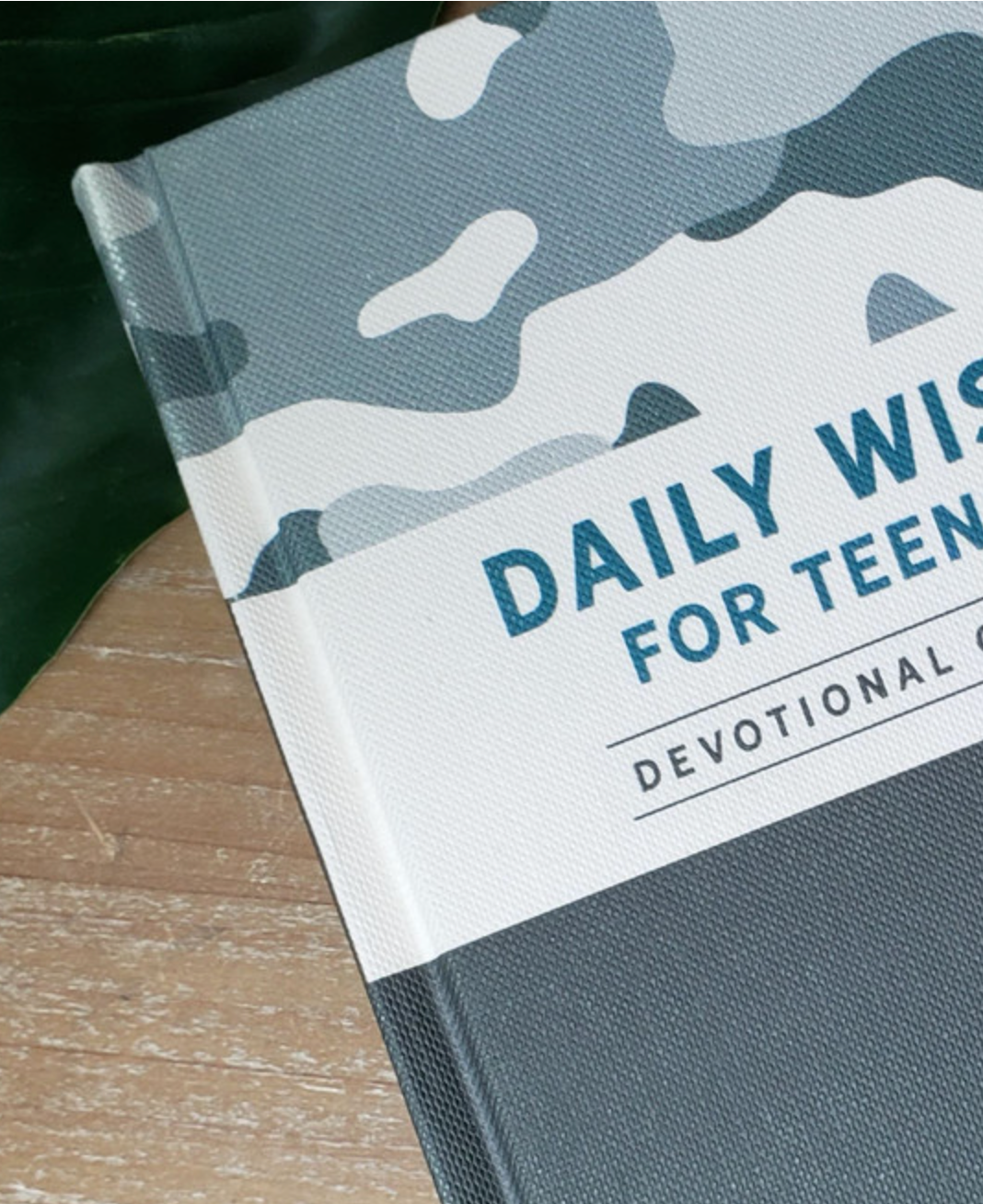 "Daily Wisdom" Devotional for Teen Guys