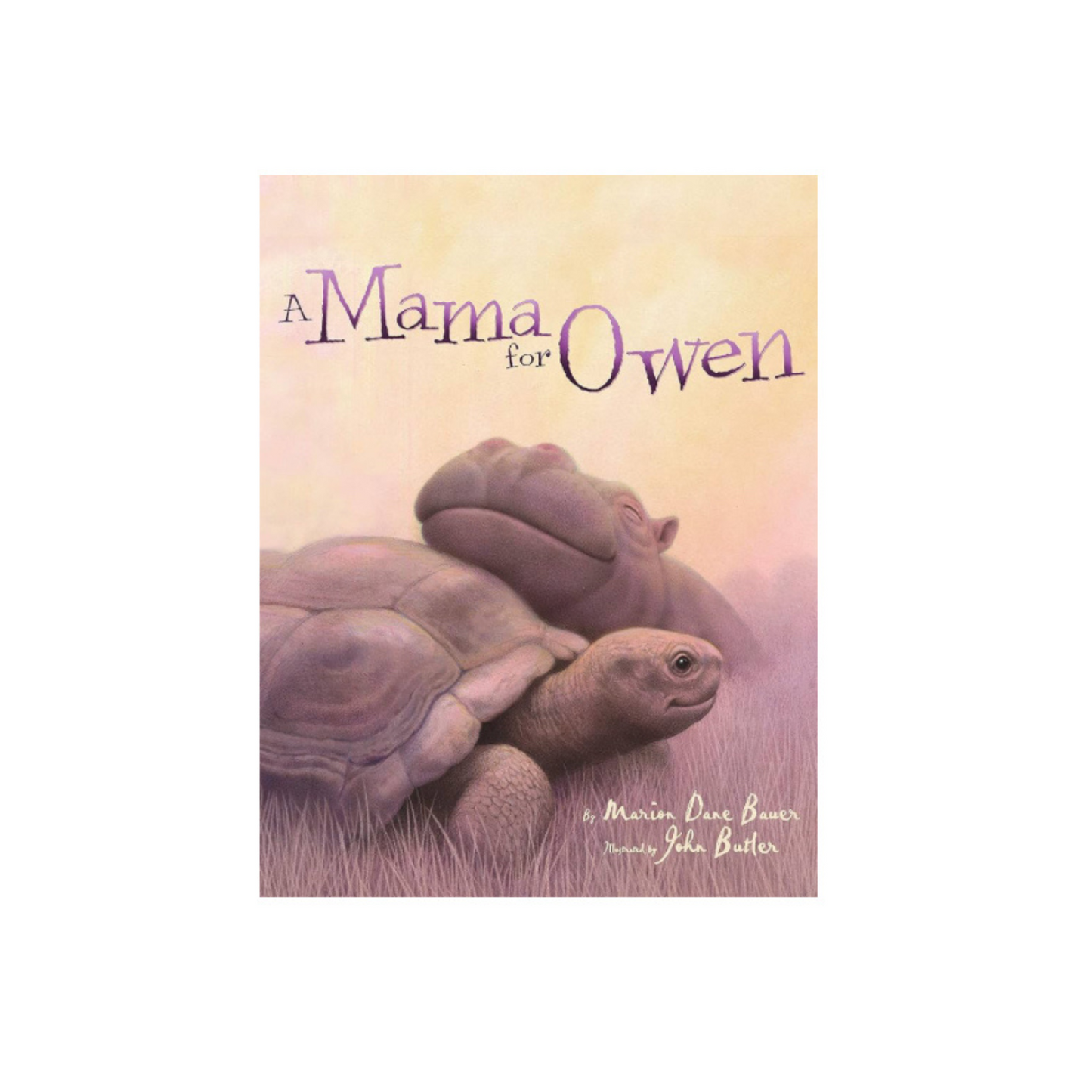 A Mama for Owen